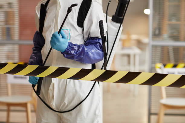 Professional Sewage Cleanup technician working in Silver Plume, CO
